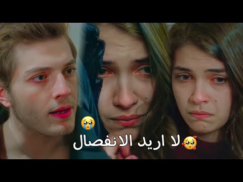 لا اريد الانفصال ! 💔 علي و ايلول || الازهار الحزينه