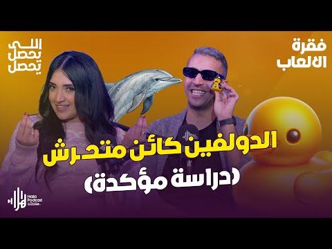 الدلافين متحـ ـرشين؟ التمساح مشب يطلّع لسانه؟ 🤣البلوجر سلام صلاح في اللي يحصل يحصل مع رضوى الشريف