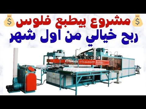 مشروع صناعة أطباق الفوم | فكرة مشروع مربح 2025 | دراسة جدوى وخطوات التنفيذ