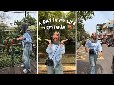 قضو معايا يوم في سريلانكا 🇱🇰