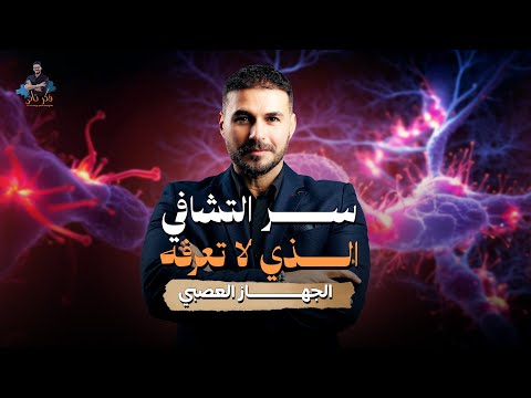 لماذا لا يهدأ جسدك؟ الجهاز العصبي أولًا”