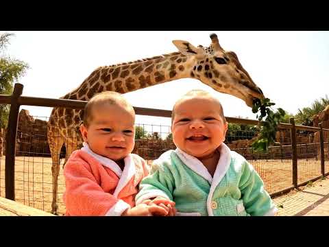 ما 😂شفتي القرد الصغير الضايع يا زرافة 👶 أطفال ذكاء اصطناعي تجعلك تضحك من القلب 🤖😂 | محتوى عائلي ممتع