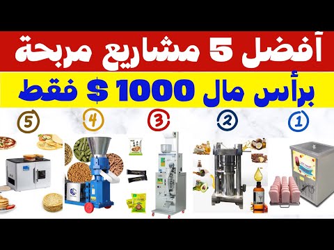أفضل 5 مشاريع مربحة لعام 2025 برأس مال 1000 $ وأرباح مذهلة 💡