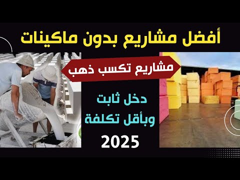 اكتشف أقوى مشروعين مربحين برأس مال محدود وبدون ماكينات | أيهما أفضل؟