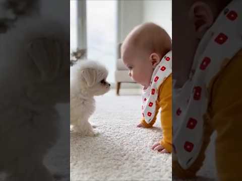 ٢٠ أكتوبر ٢٠٢٥