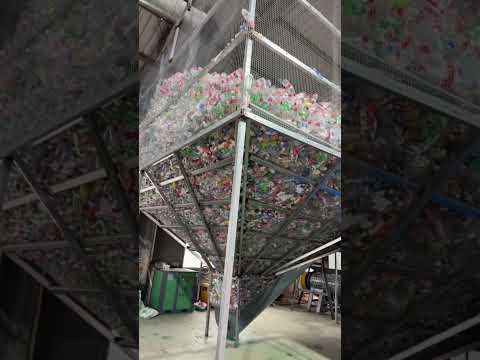 How Millions of Plastic Bottles Are Recycled ♻️ And Turned into Profit!