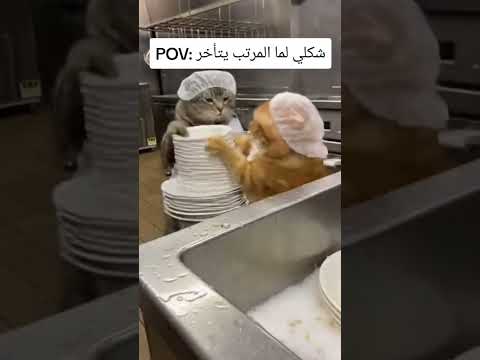 شكلي اما المرتب يتإخر عليا😂