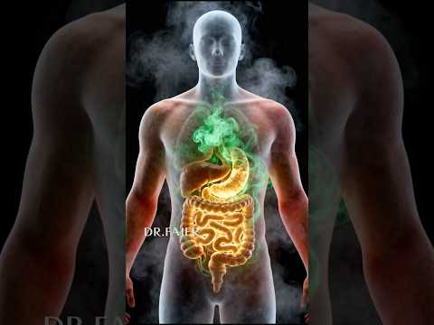 أعراض السيبو كما لم تُشرح من قبل ✨