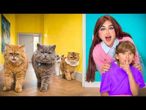 مين من قططنا يحبنا اكثر | اخيرا رجعنا البيت !!