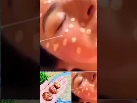 ٢٩ يناير ٢٠٢٦