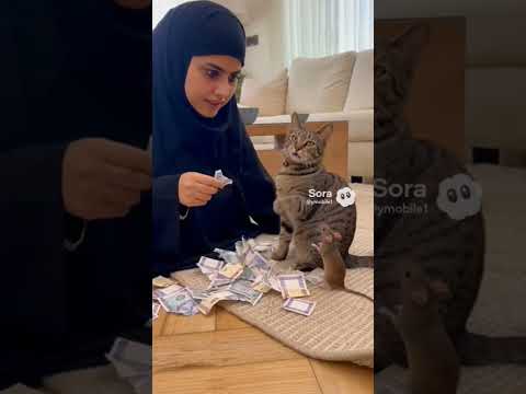 ١٤ ديسمبر ٢٠٢٥