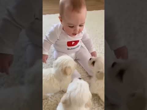 ٢٣ ديسمبر ٢٠٢٥