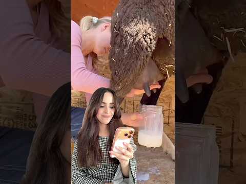 الحليب البقري .. غذاء صحي أم خطر على الجسم ؟