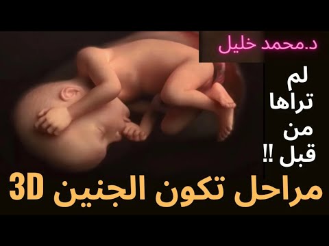 3D (شاهد مراحل تكون الجنين من الأسبوع الأول إلى مرحله الولاده !! مشاهد تراها لأول مرة (خلق الجنين