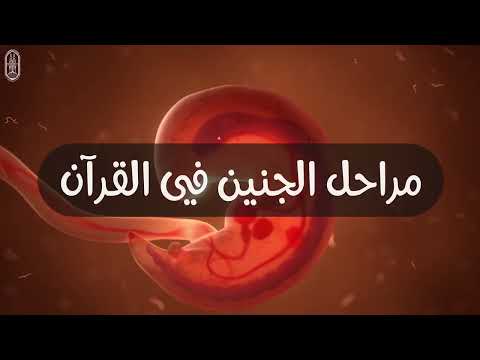مراحل تكون الجنين في القران الكريم .. سبحان الله العظيم .. اللهم ارزق كل مشتاق!!!