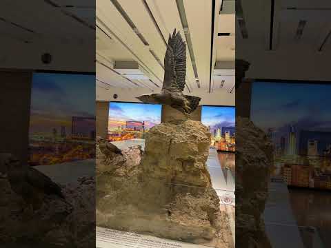 متحف الموطن بالكويت 🇰🇼😍