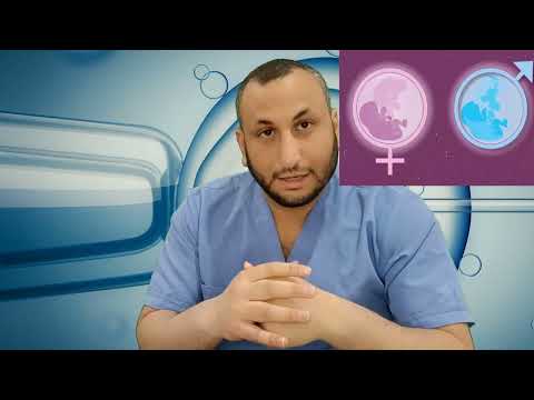 مفاجأة الحمل: متى نعرف إذا كان الجنين ولد أم بنت؟