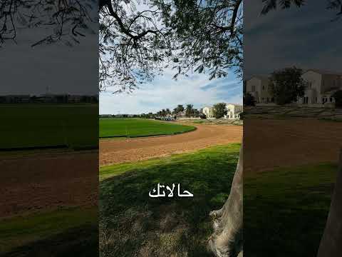 القرار إلى حيغير حياتك ❗️ #relationshipcoach