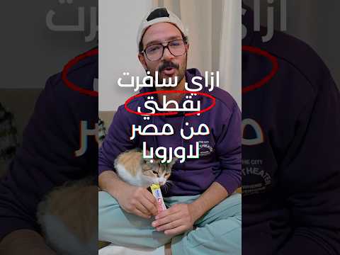 ازاي سافرت بقطتي من مصر لاوروبا 🐈❤️✈️حملوا تطبيق نوميرو، اللينك في الديسكريبشن بوكس