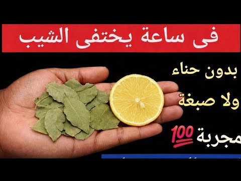 علاج شيب الشعر نهائيا ‼️ وفي اقل من ساعة يختفي الشيب ‼️ وللأبد بمكونات طبيعية بدون  حنة