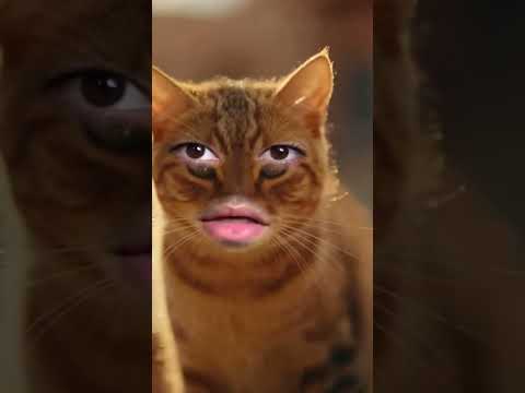 ايه الغتاته بتاعت امي دي 😂