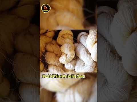 Bamboo Fiber Business 🌿 New Eco Manufacturing Business #shorts