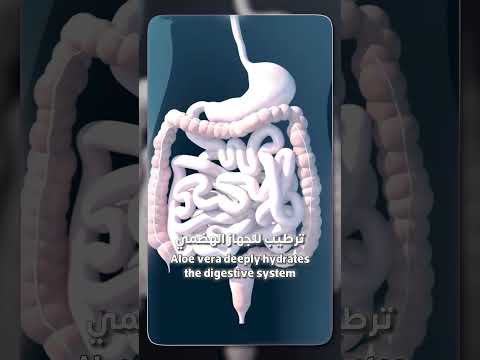 الصبار مضاد للبكتيريا والفيروسات، يدعم توازن القولون ويخفف الانتفاخ والتقلصات #دكريم_علي #فكر_تاني