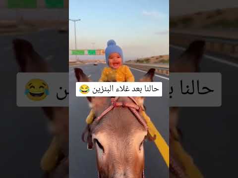 حالنا بعد غلاء البنزين 😂
