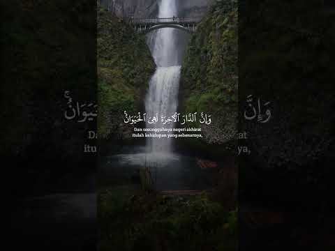 ٢٢ أبريل ٢٠٢٦