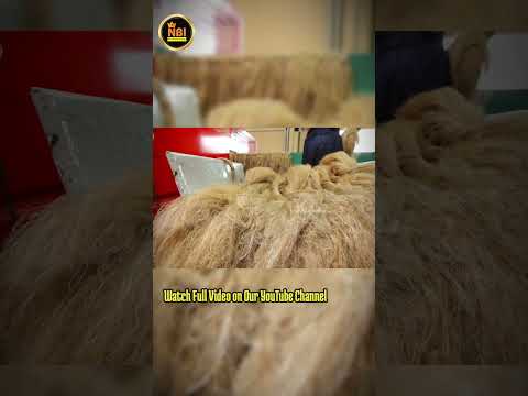 Why Smart Entrepreneurs Are Jumping Into Fiber Businesses #shorts #trending #startup