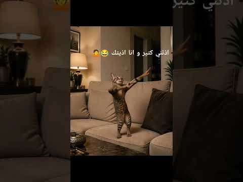 اذيتني كتير و انا اذيتك 😂🤷