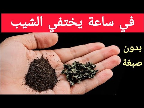 اقسم بالله ‼️ في اقل من ساعة يختفي الشيب نهائيا‼️ بدون صبغات‼️ هتدعيلي طول عمرك‼️